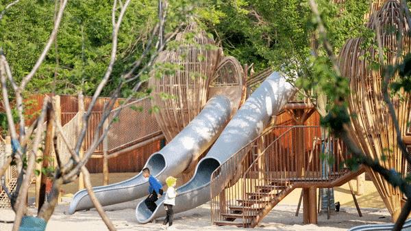 山海之界，一座乡野的文化探索乐园｜东海文化探索乐园