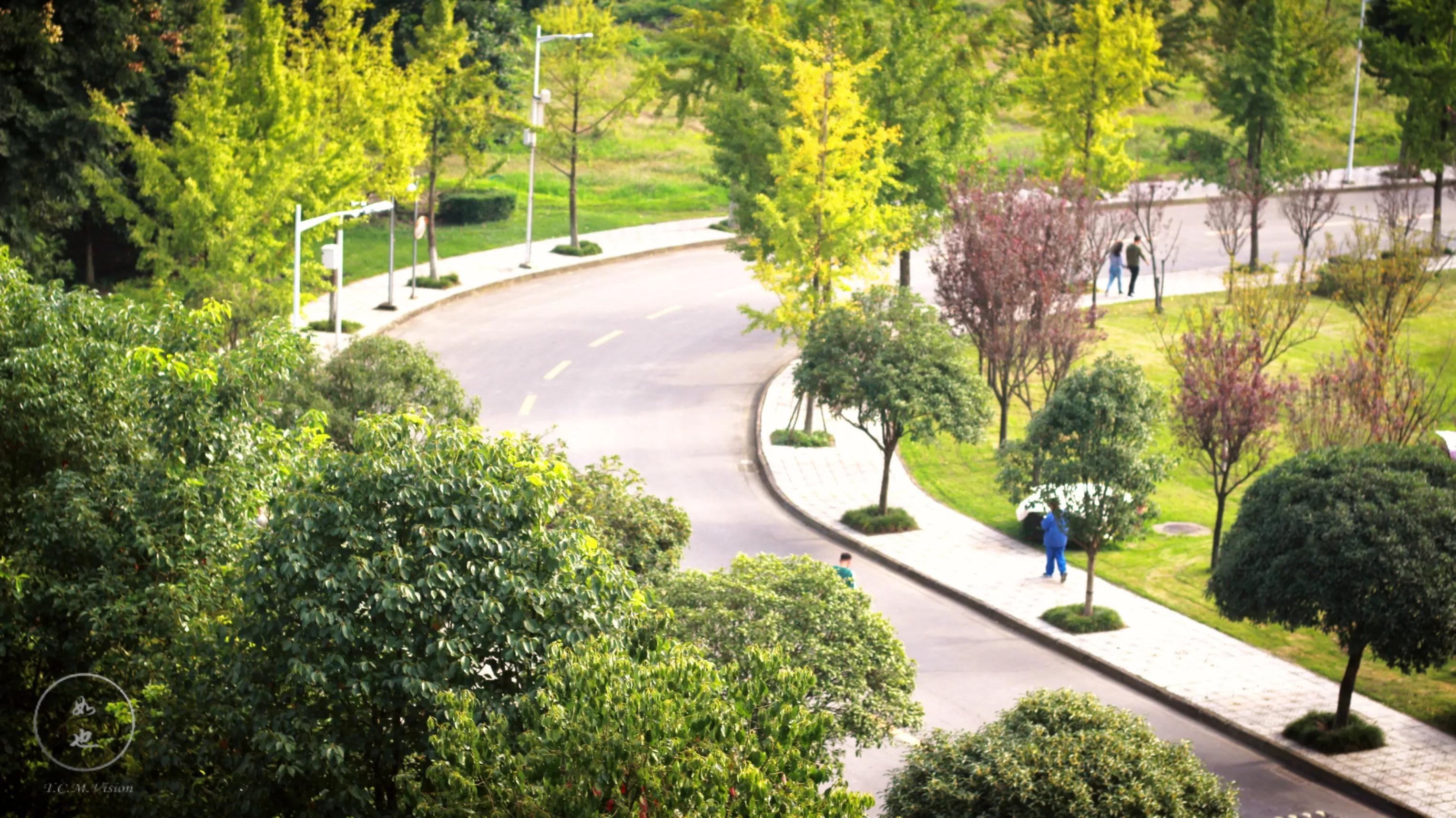 成都中医药大学位置,成都中医药大学