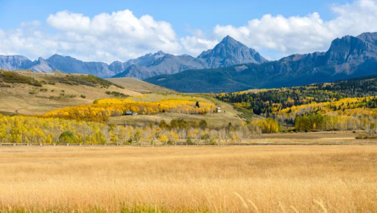 底层的非洲人民，日薪比你还要多，那些独属于落后非洲的赚钱方式