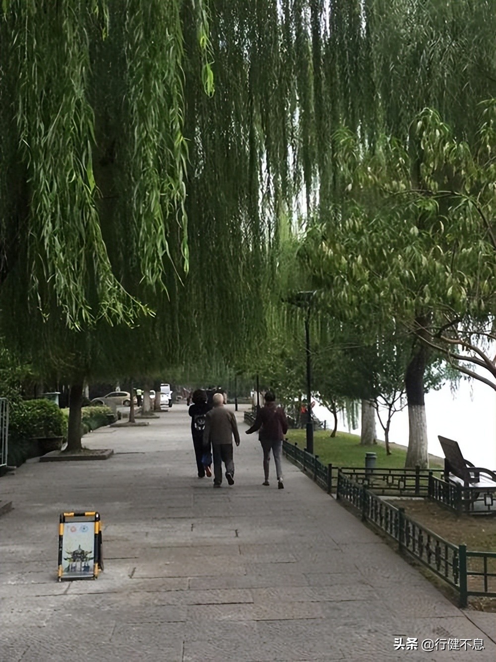 荷花十里桂三秋：十二首著名诗词，领略杭州的诗意之美