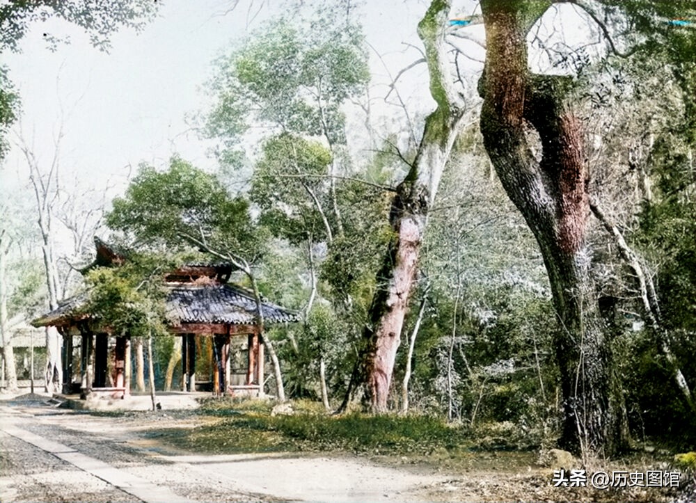 真实的杭州西湖摄影图片,老照片里10年前杭州西湖留影