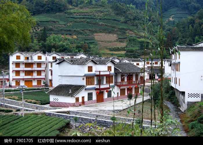 农村土地荒废无人种如何解决,农村废弃的荒宅