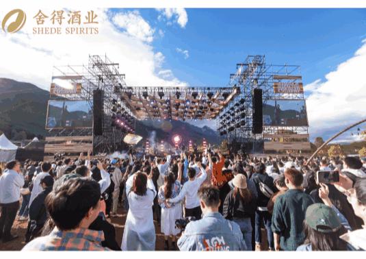 沱牌酒销售模式有哪些特点,沱牌酒如何营销好点子