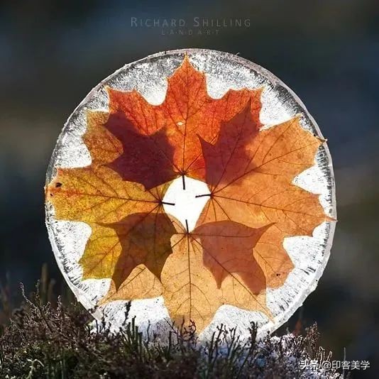 冰雪艺术品售卖,冰雪融化的艺术品