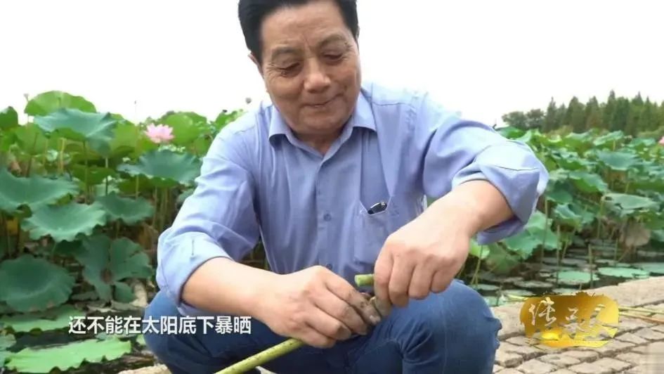 刘亦菲公开恋情后亮相,刘亦菲恋情网友爆料