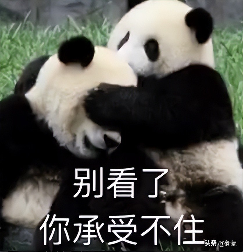 圆脸女明星拍照为什么没有双下巴,女明星圆肩对比