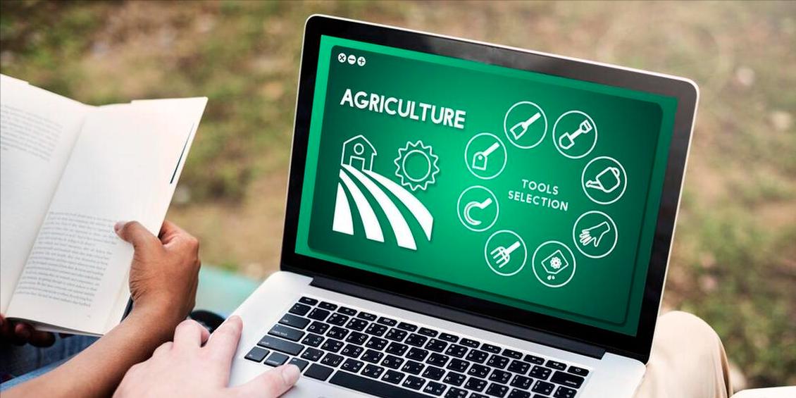 互联网促进农业经济发展策划书,农业产业与互联网融合研究