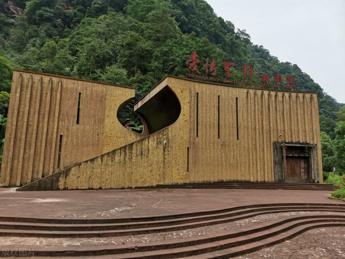 重庆真实爱情故事,关于一对老人的真实爱情故事