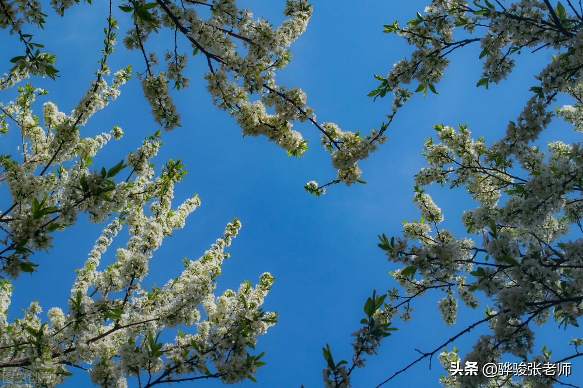 新乡医学院怎么样值得报考吗,新乡医学院2018年录取情况