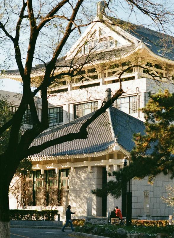 恢复高考第一年文科女状元,恢复高考后第一女状元