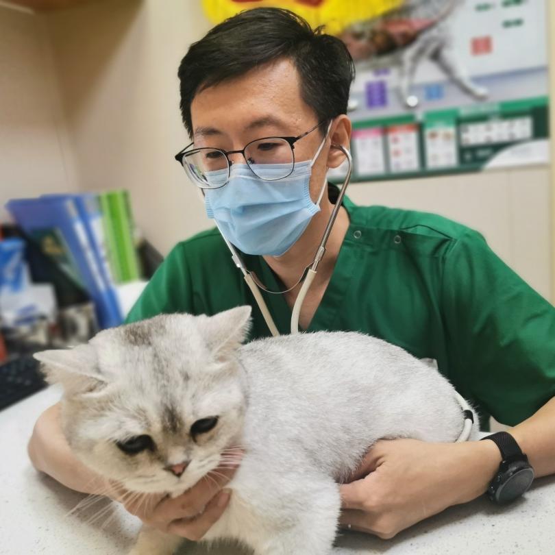 狗狗突然不敢走路怎么回事,小狗经常跑关节会出现问题吗