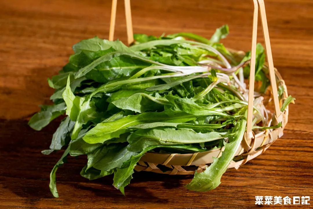 蒲公英茶能清热祛湿吗,新鲜蒲公英怎么吃才去火