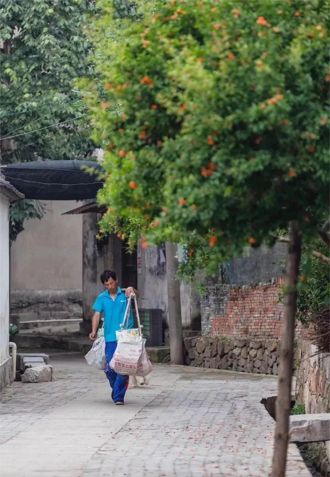 太湖西山岛旅游团建民宿,苏州西山岛一日游团建