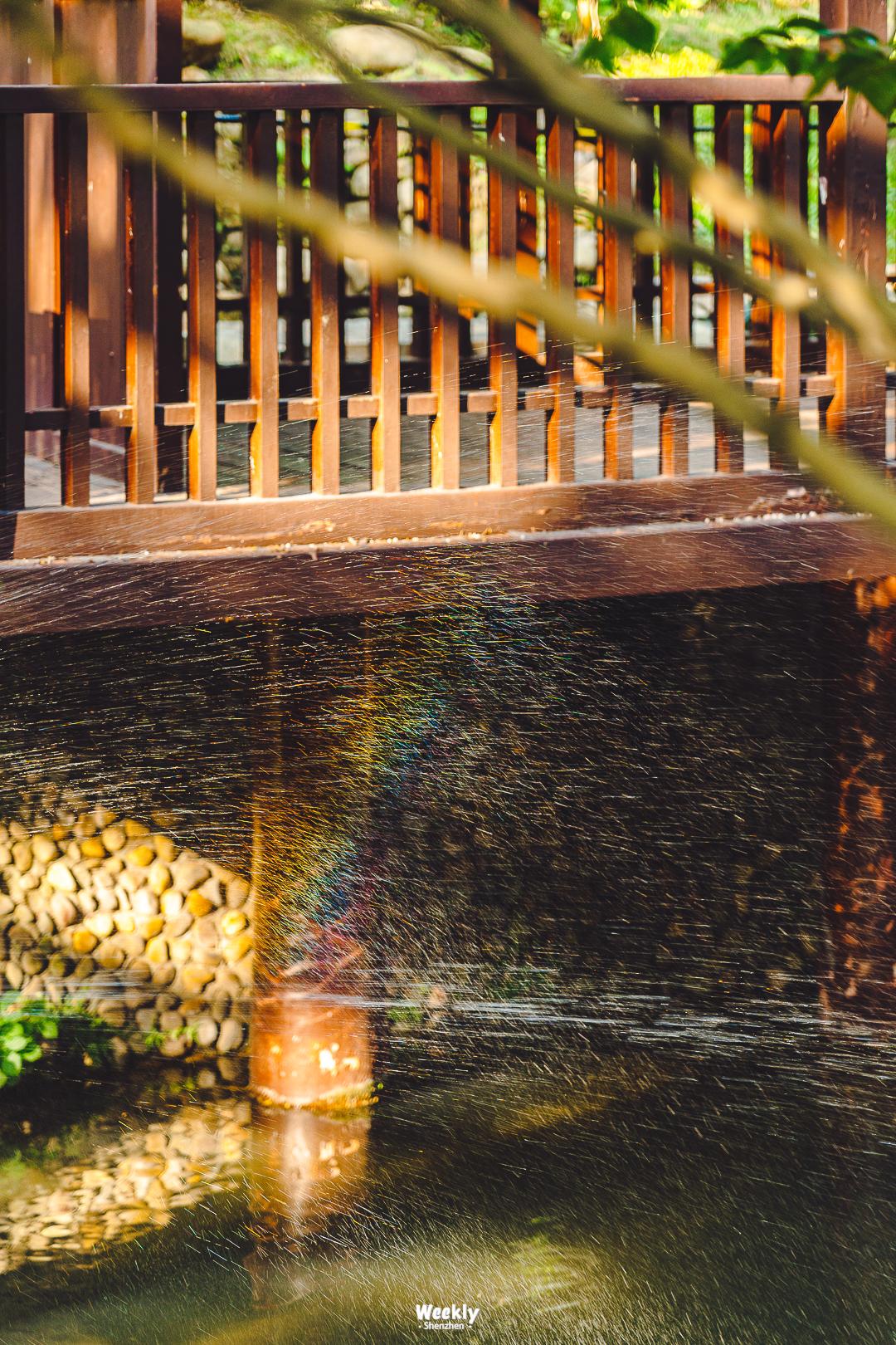 真羡慕那些住高档小区的人,真羡慕住在海边的人