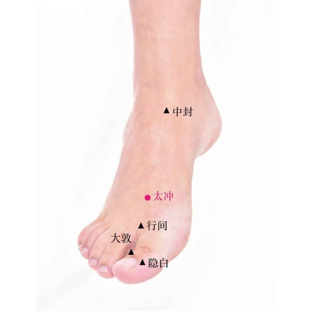 上火喝什么菊花茶可以去火,鼻子干上火喝菊花茶有用吗