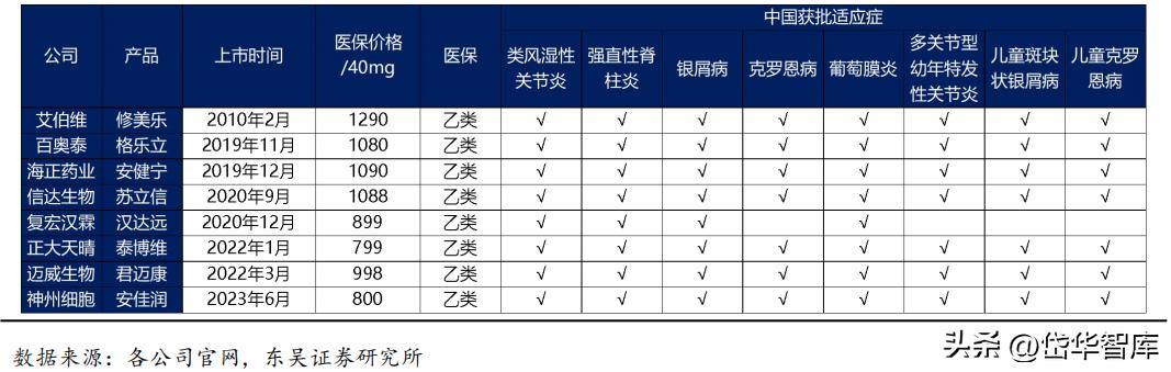 有效避开内卷，迈威生物：ADC锋芒初显，快速成长的Biopharma
