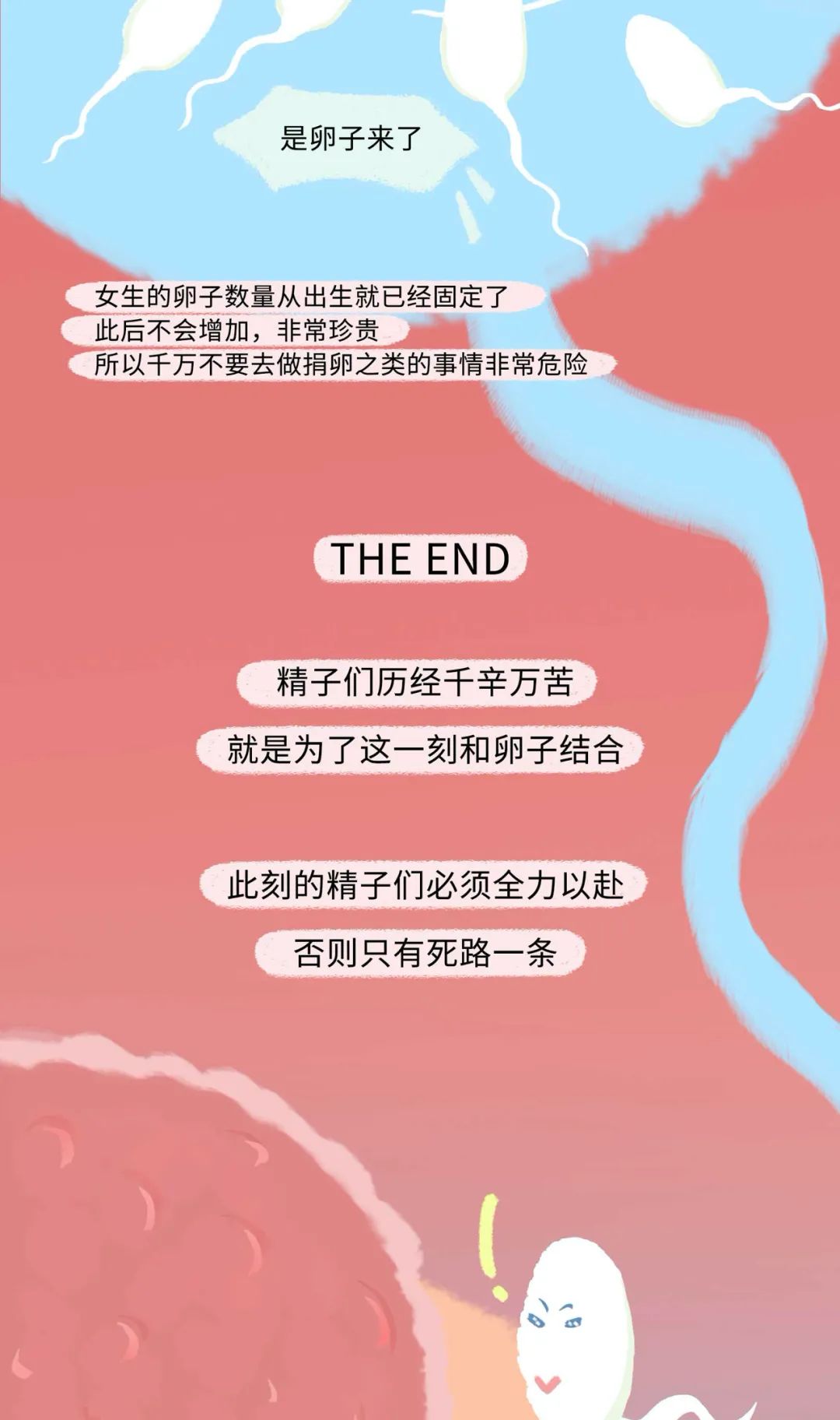 精子进入女生体内的全过程！（漫画）