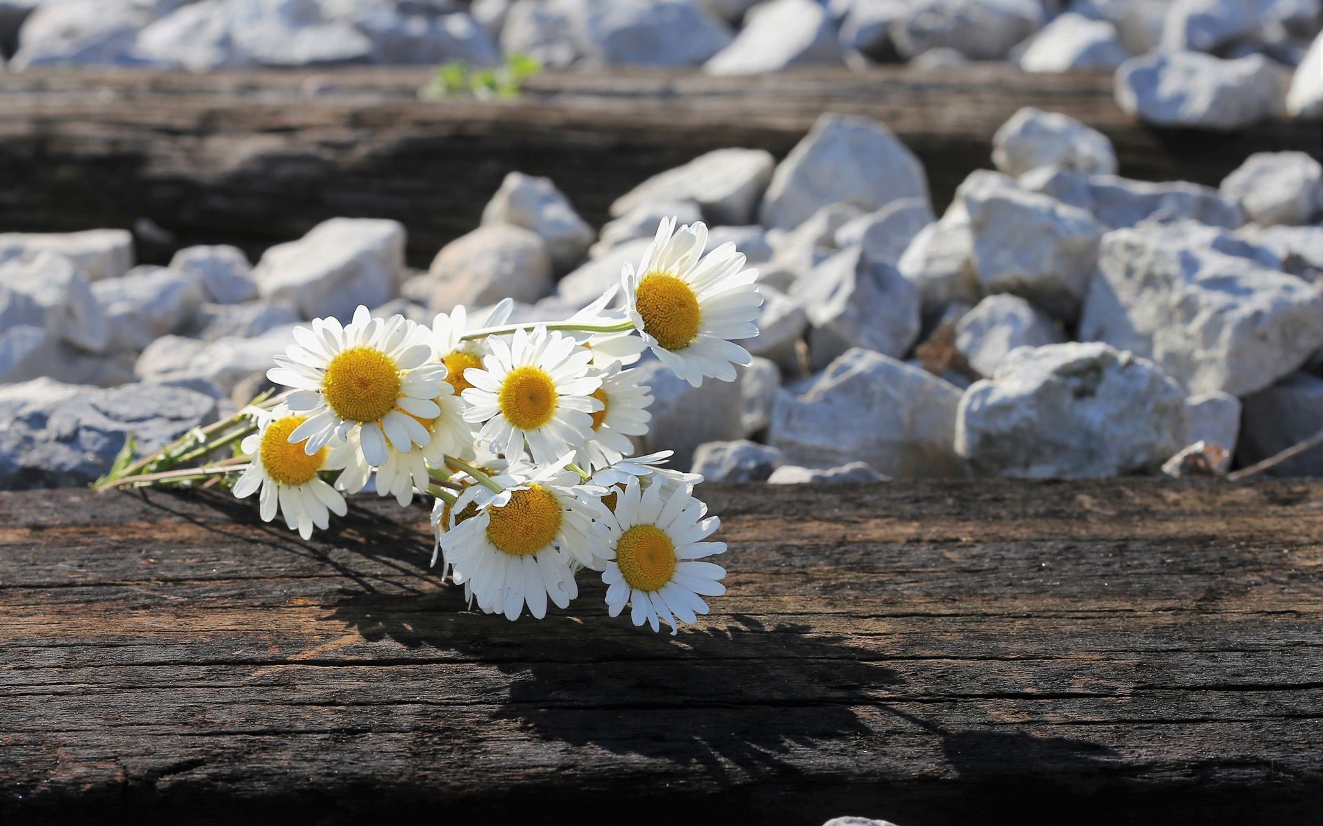 无论和谁相处请保持适度冷漠,无论和谁相处请记住这110个忠告