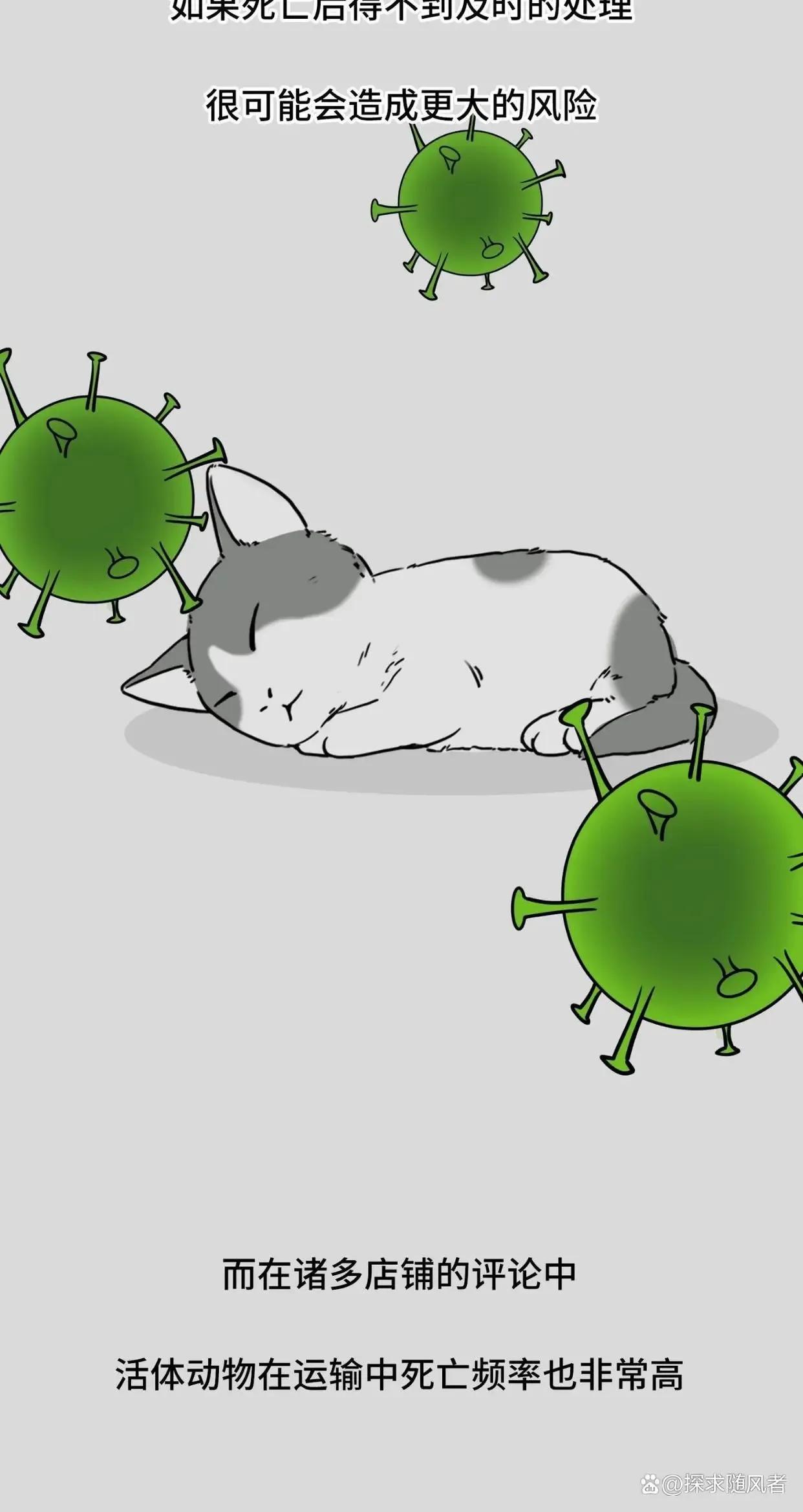 救救我我不想死日语,救救我漫画免费观看