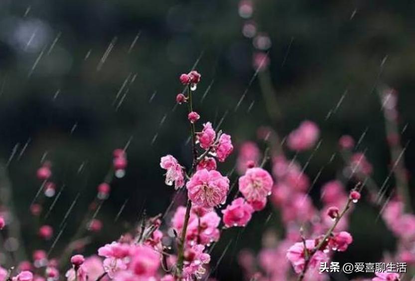 明日立春要“咬春”，春季“6鲜”别忘记咬，助您精神抖擞迎春天