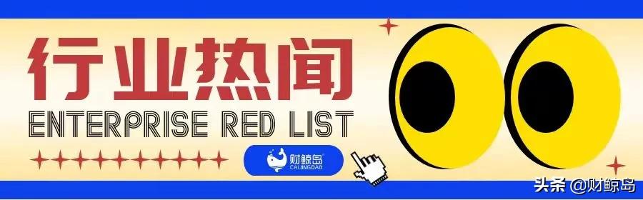 新经济周刊报纸,新经济半月刊