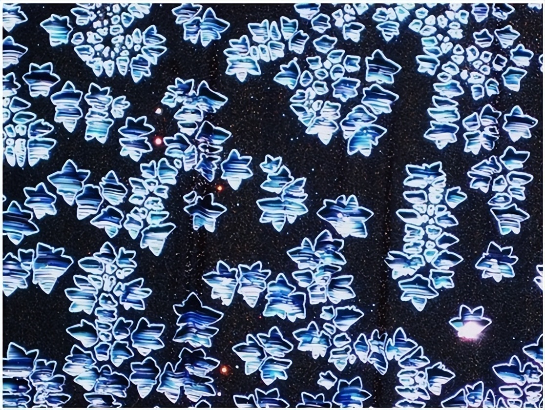 显微镜下的化学,显微镜下的世界奇妙图