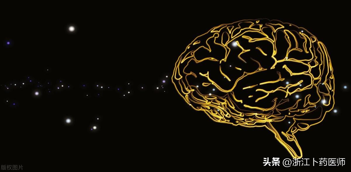 大脑和肠道之间的神经系统,肠道的自主神经系统受大脑调控