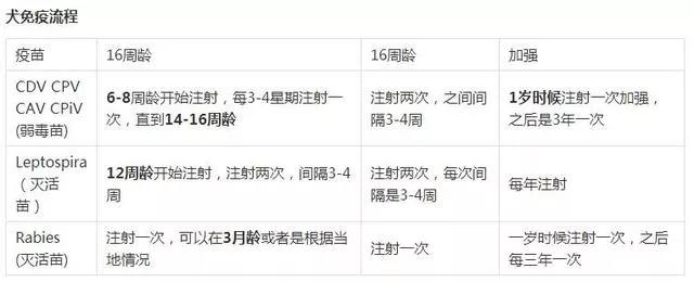 农村人买狗注意事项,农村狗市买狗注意事项