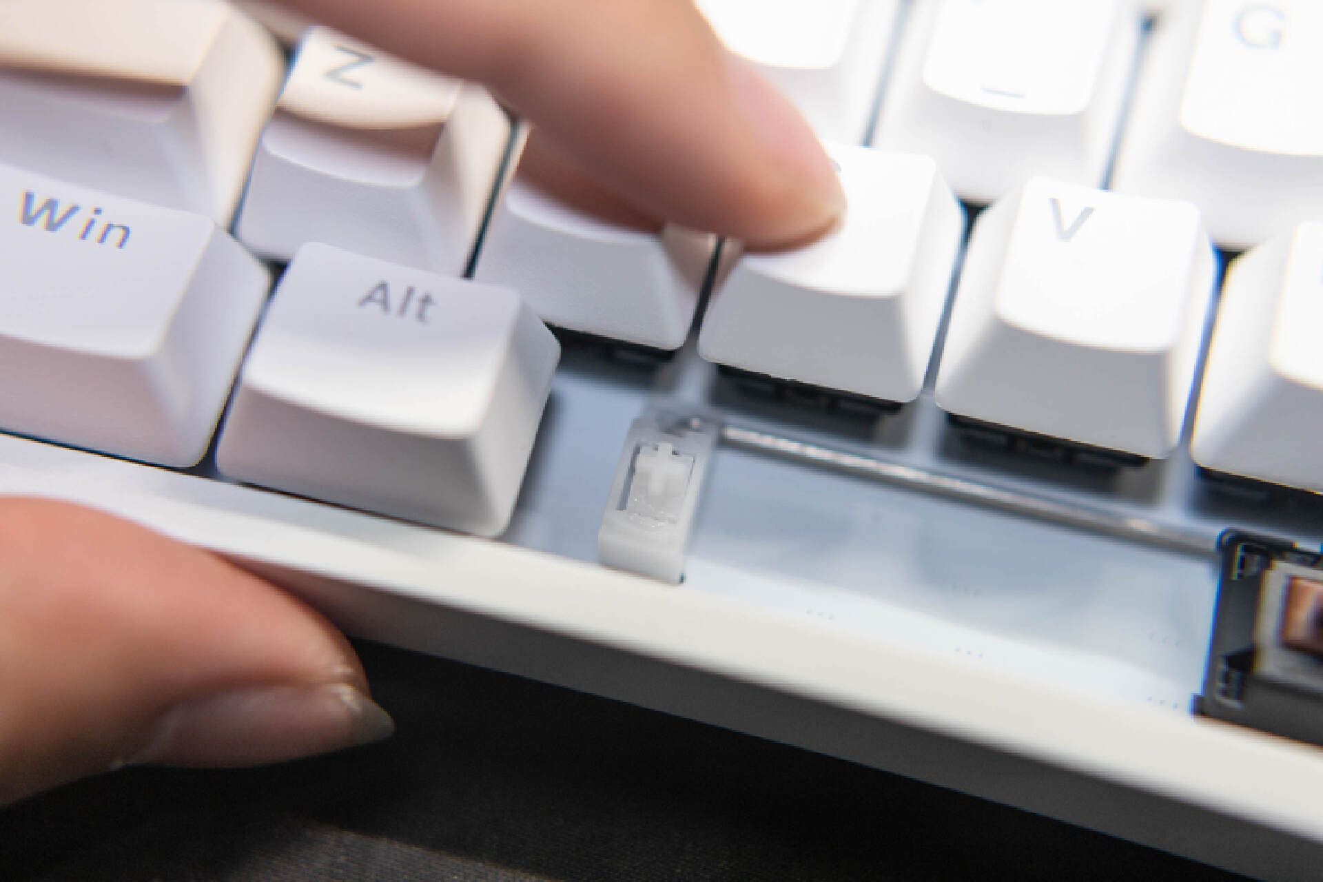 cherry键盘mx2.0,cherrymx2.0三模青轴