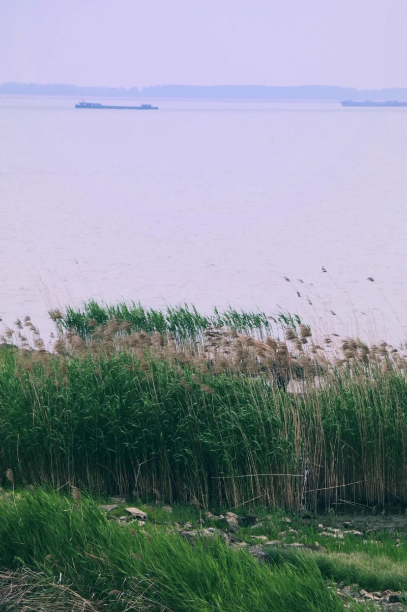 《张家港》，一部自带热度的电影