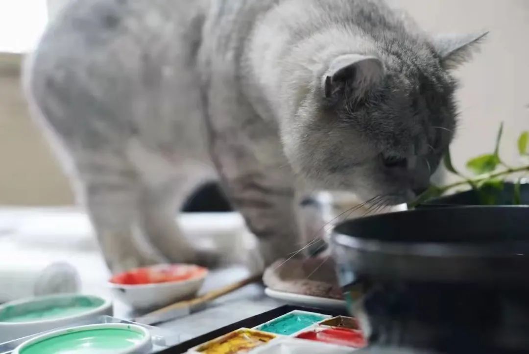 容朵儿民宿|一米生活半径,透露出一个人的生活态度