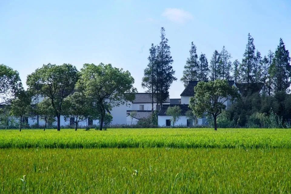 乡村振兴示范村典型案例规划设计,偏远山区乡村振兴示范村典型案例