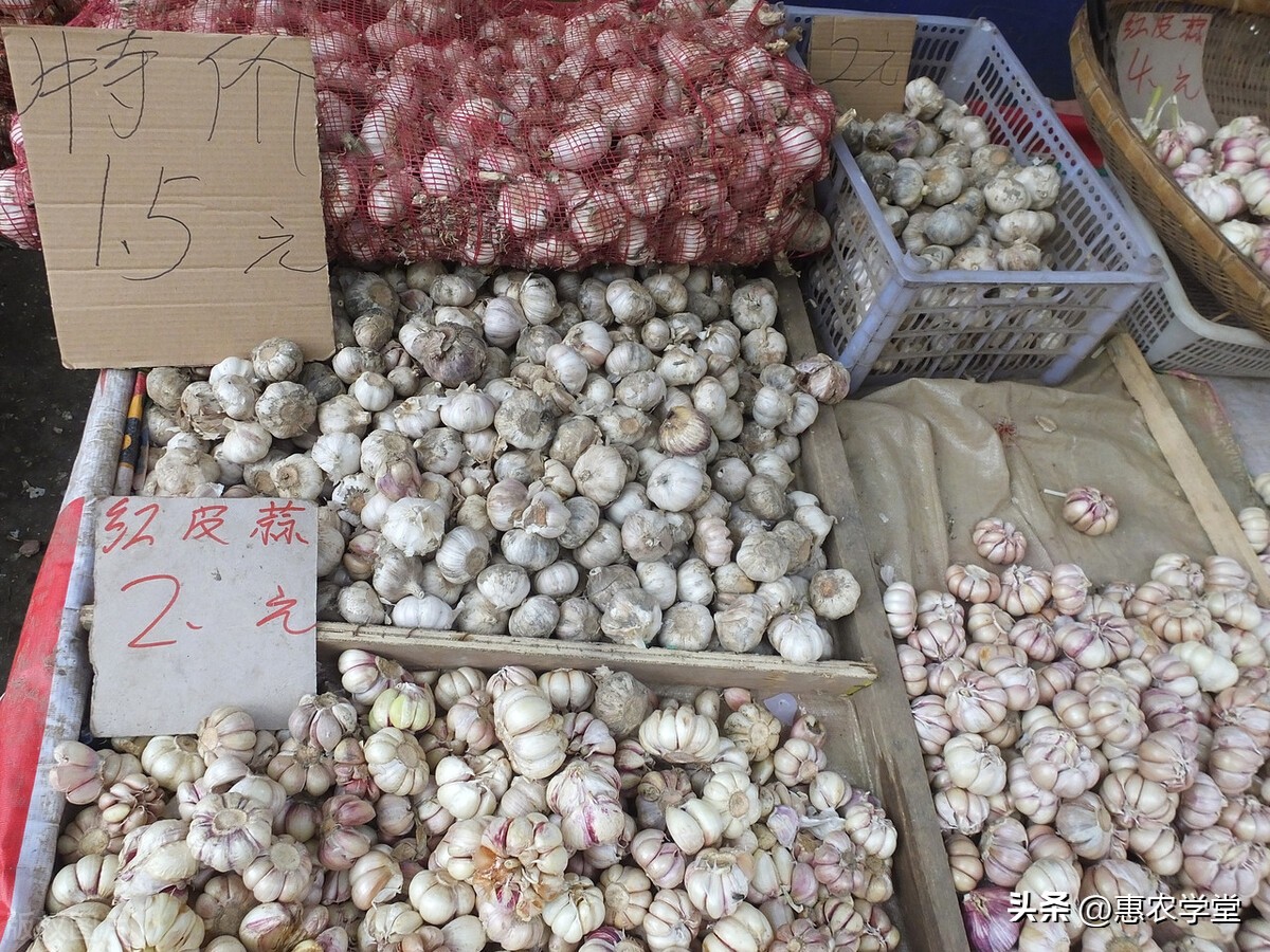 大蒜价格今年的大蒜多少钱一斤,2018年大蒜价格多少钱一斤