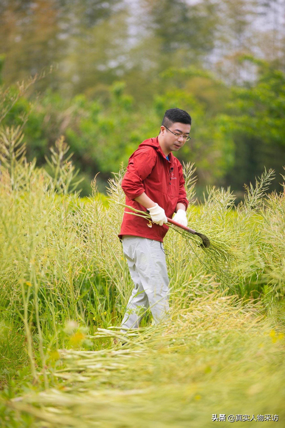 博士冷门专业,中科院冷门专业