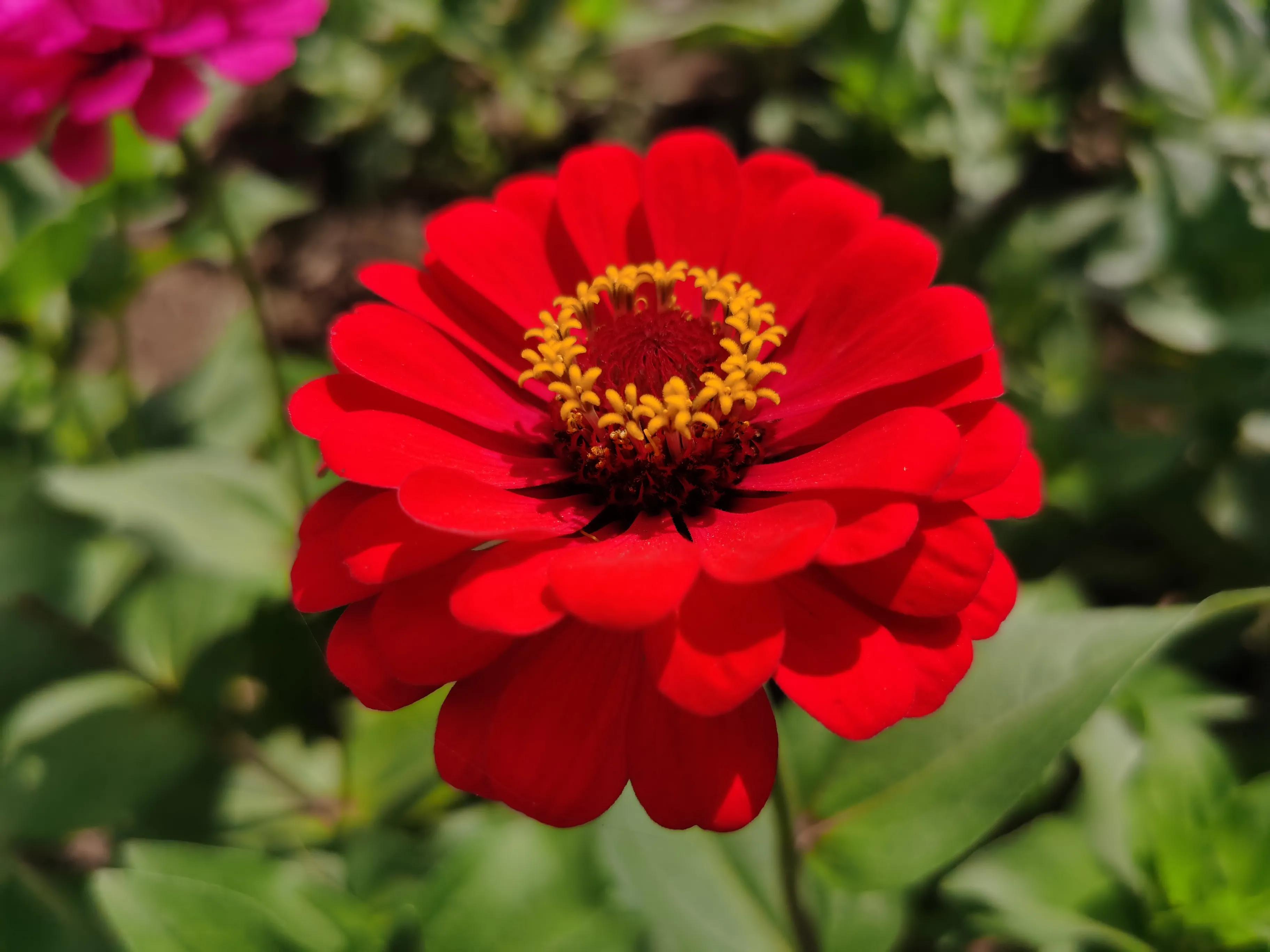 100种迷人的“数字花”,从零到一百万,真是太神奇了