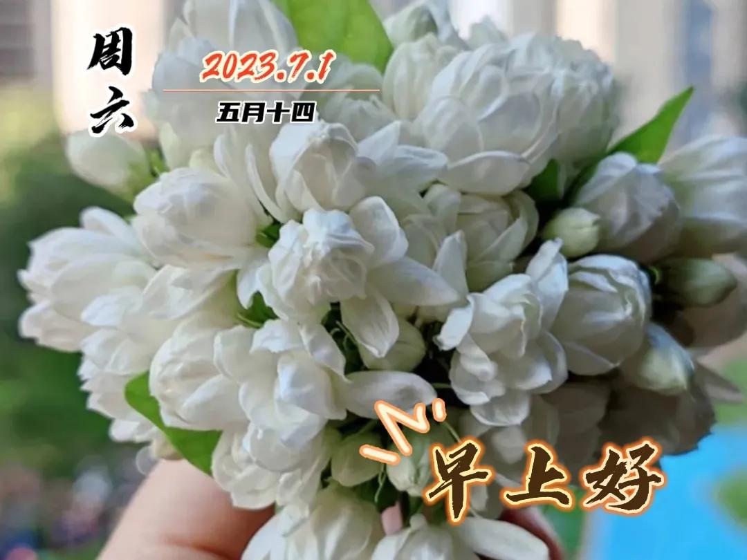 早安图片早上好问候祝福语,早上好图片带字早安问候语大全