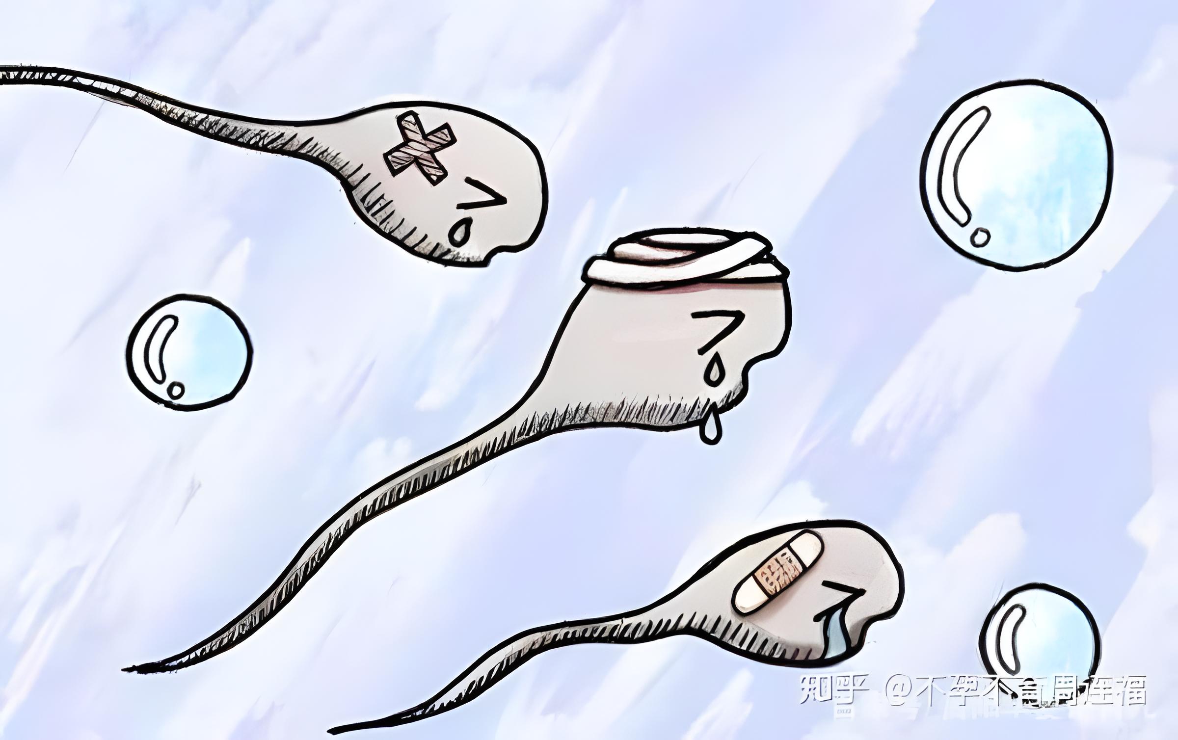 进入女性体内后，没有成功受精的精子,都去哪了?答案可能超乎想象