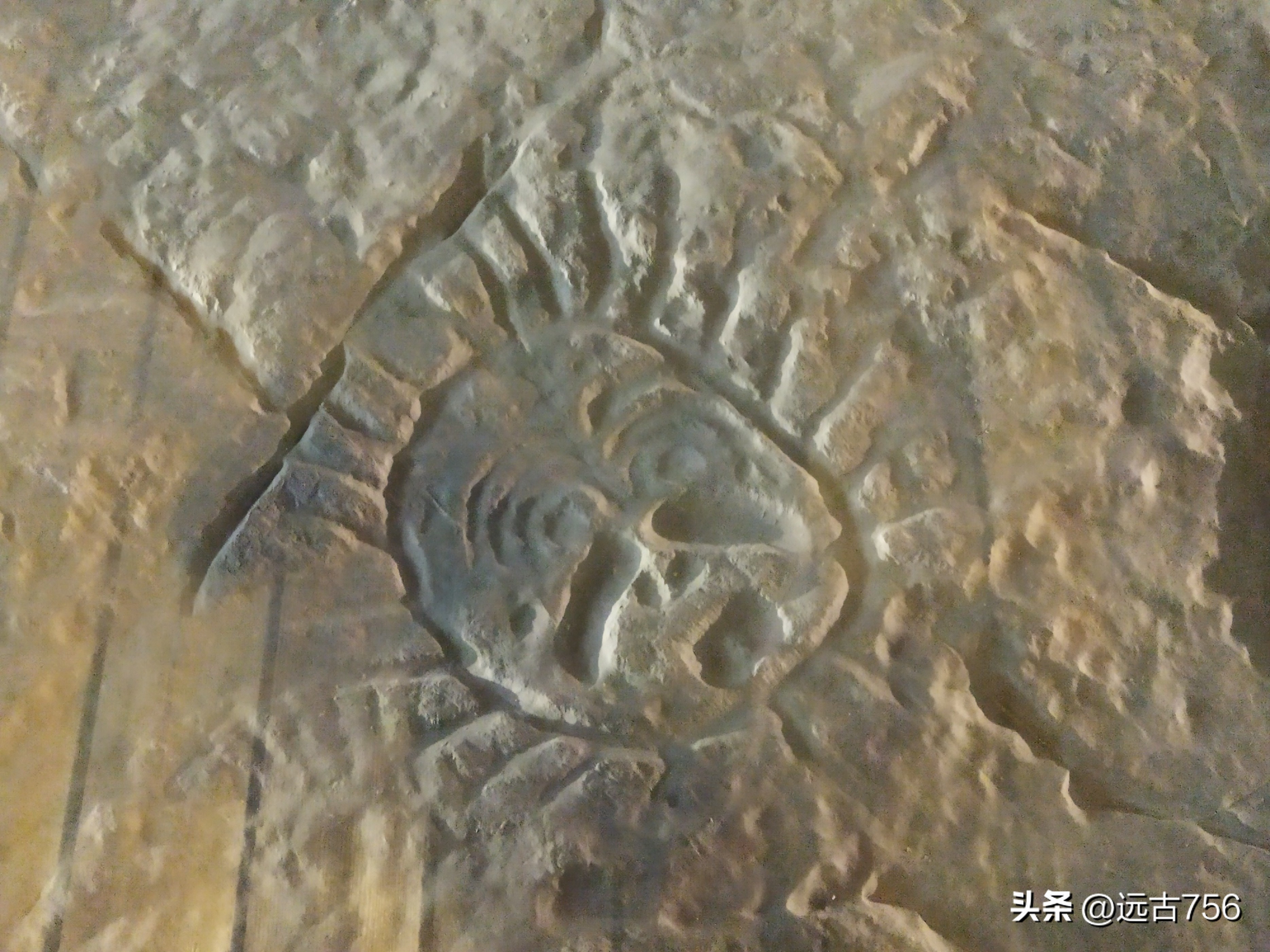 乌海乌金之海,介绍乌金之海乌海