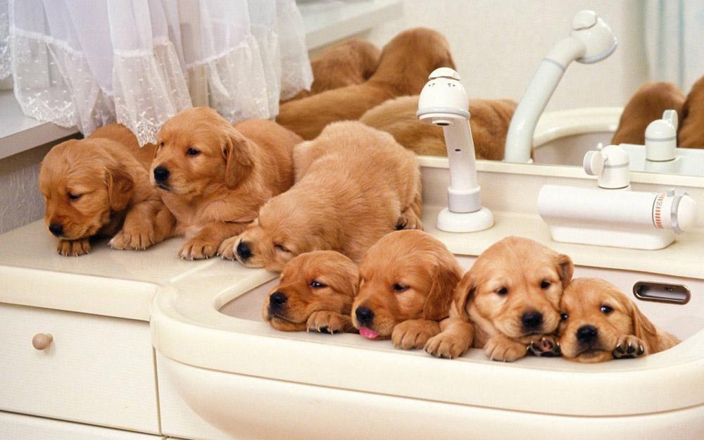 2023年赚钱的行业有哪些,2023年的赚钱机会在哪里