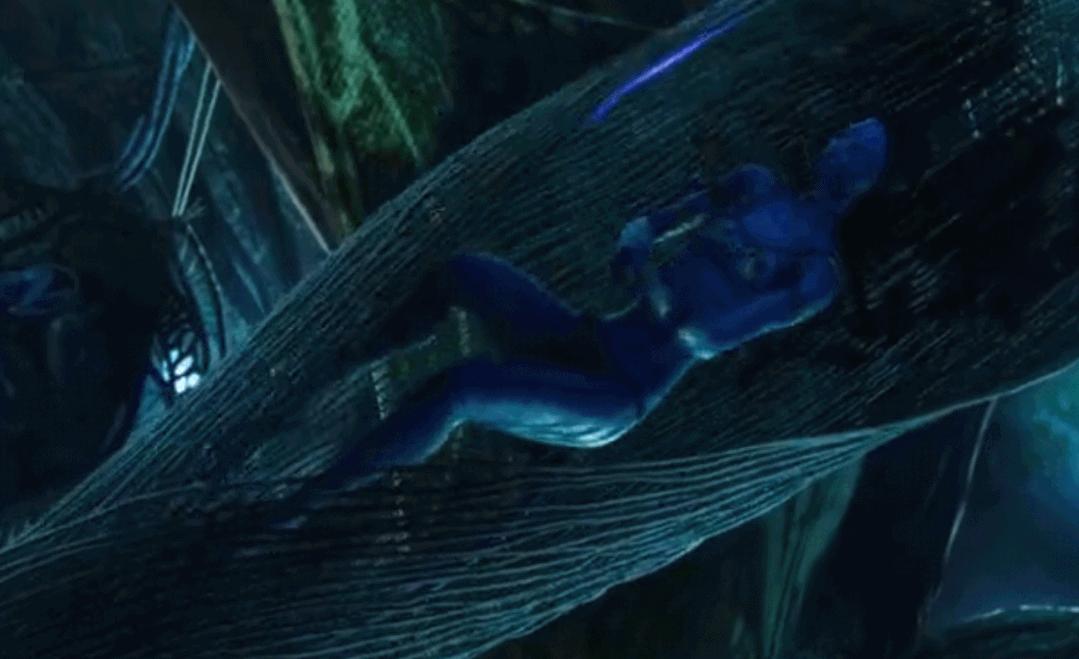 那些网红造假的后果 (造假的网红是真的吗)