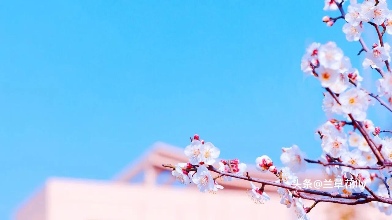 若爱有尽头免费全文,520有爱的日子也是感谢的日子