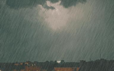 郑州暴雨农村农作物最新视频,农作物受暴雨影响受灾自救措施