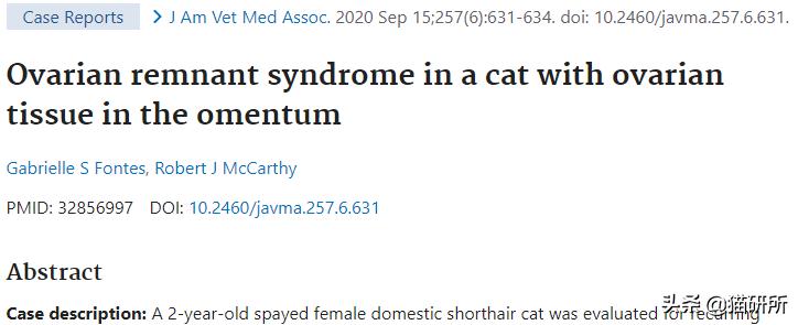 猫咪做了绝育还发腮吗,猫咪做了绝育还乱尿吗