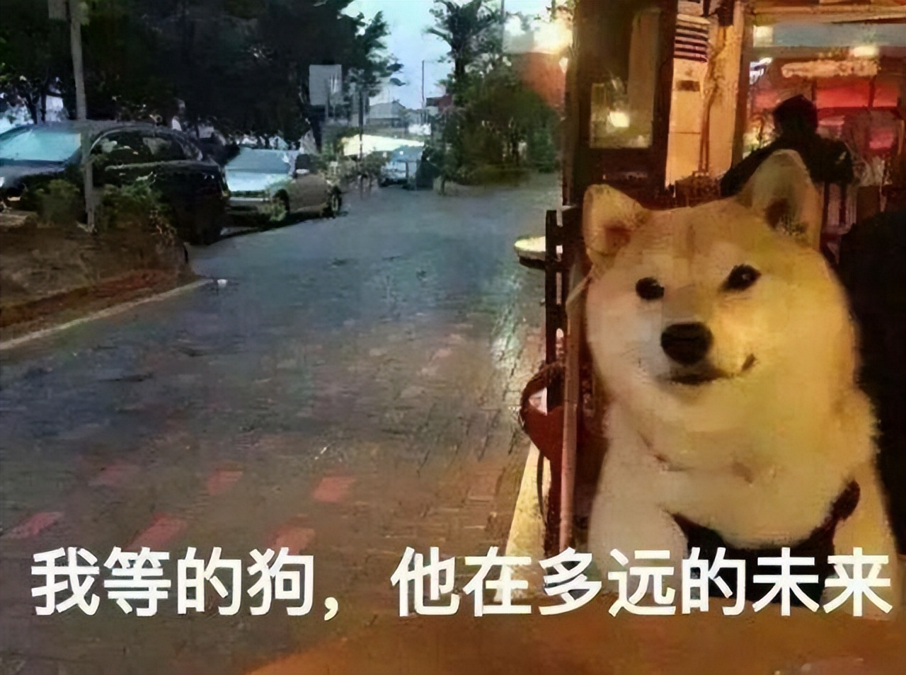 世界接吻日情侣,世界接吻日是干什么的