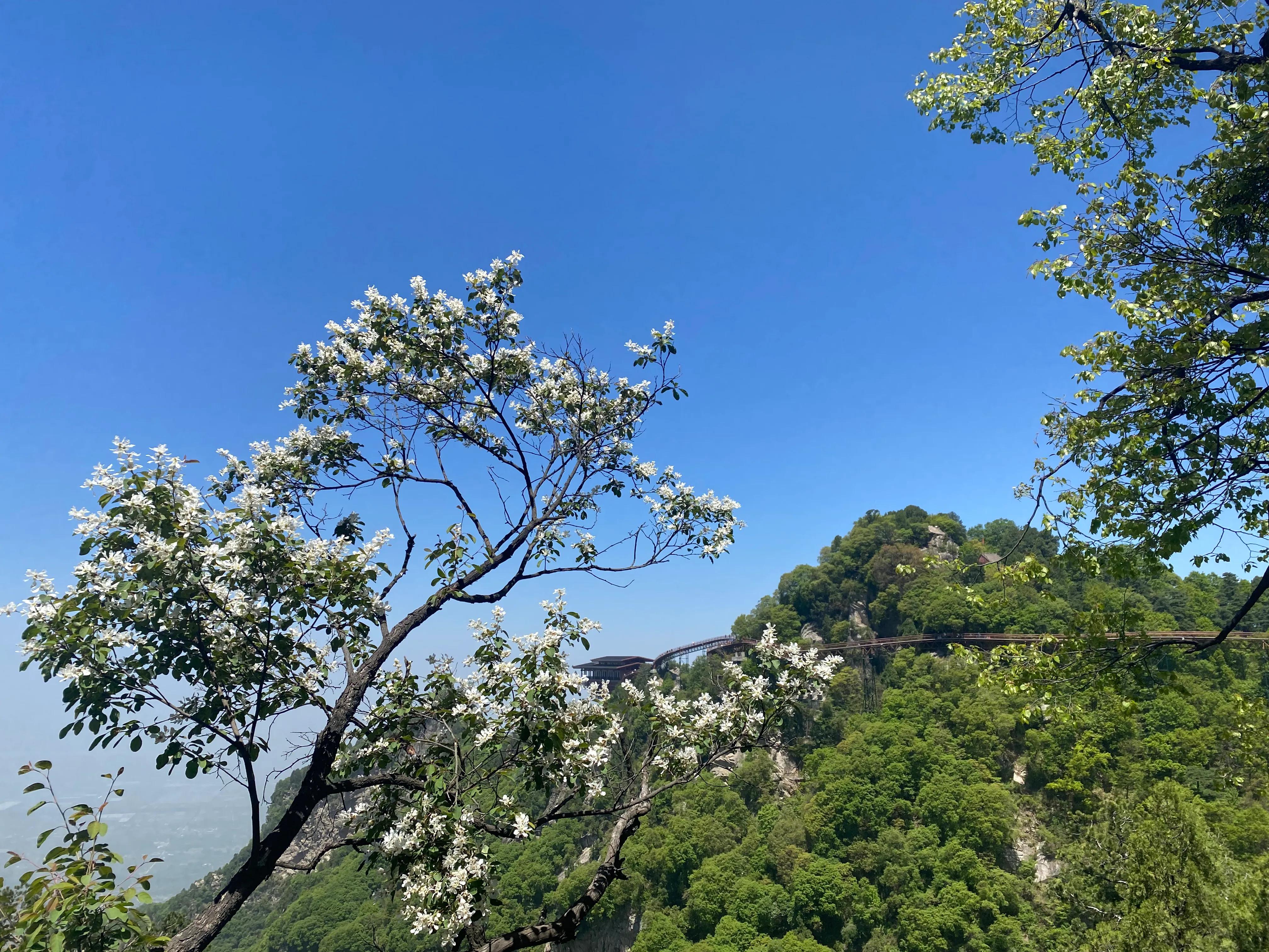 少华山一日游自由行多少钱,华山一日游全程