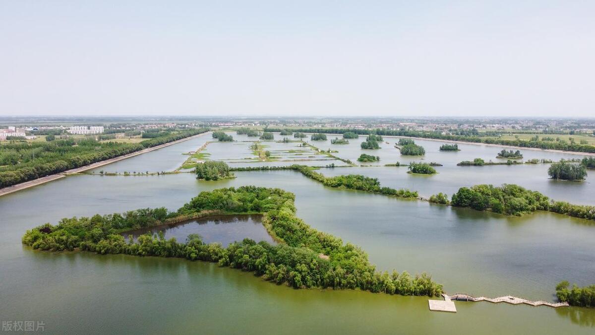 我表弟，包了20亩浅水塘，一年净赚45万，昨天刚提了新车