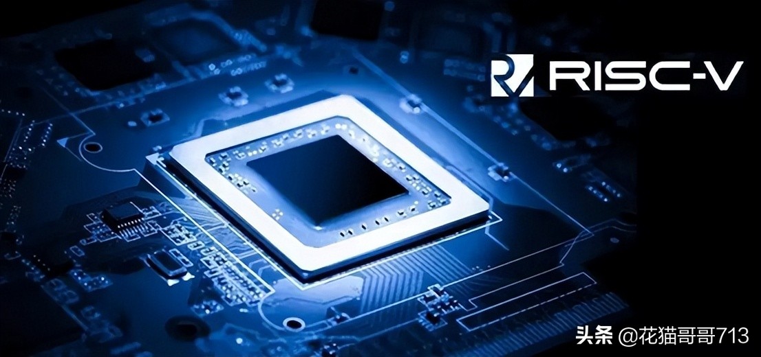 猫哥俄罗斯,猫哥在俄罗斯最新视频