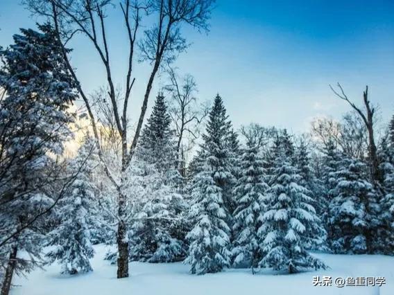 农历十一月初九的说法,十一月初九是什么日子