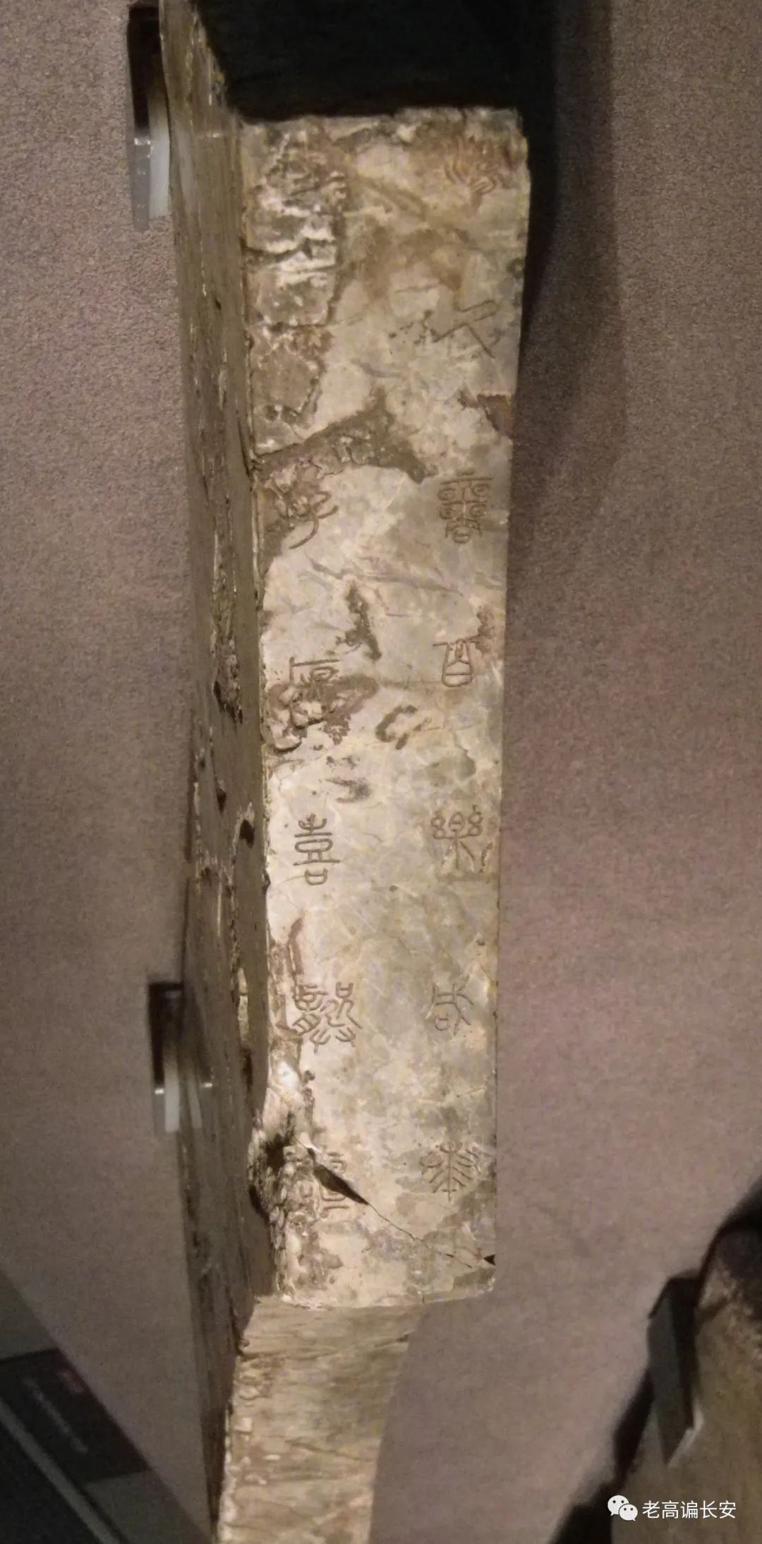 假期参观陕西考古博物馆,陕西考古博物馆开馆直播