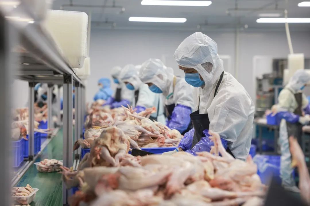 抖音电商山货,抖音农产品销售平台